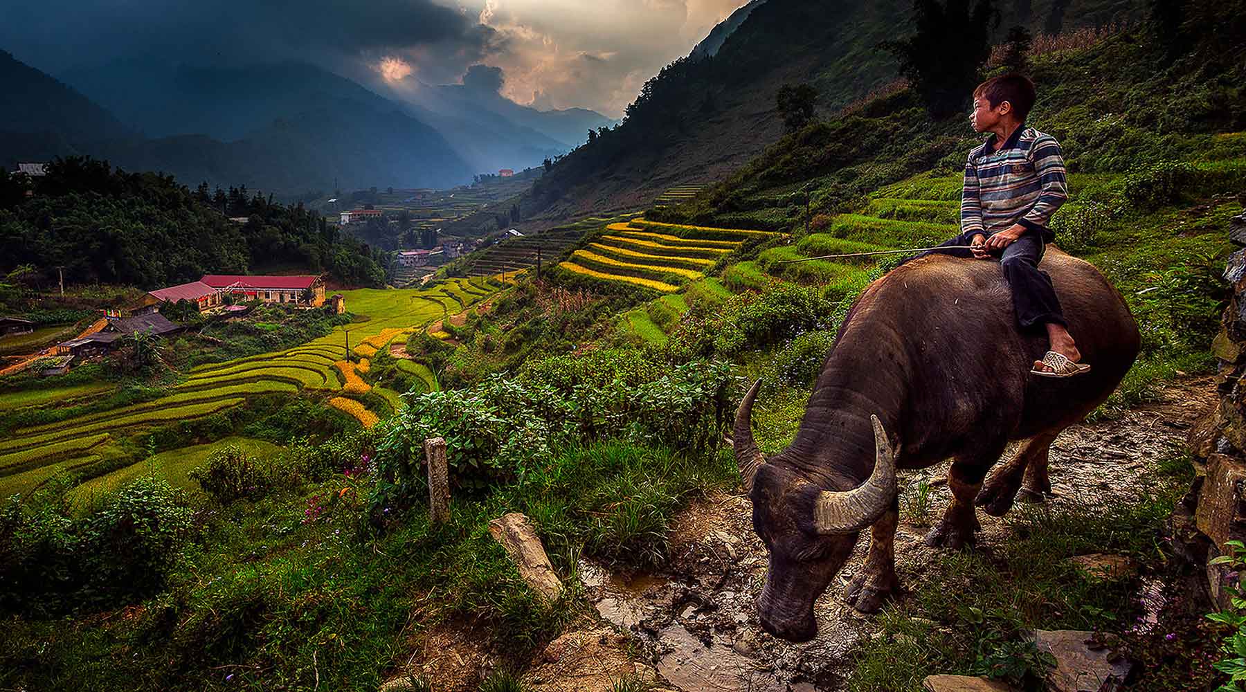 Sapa（サパ）露の地