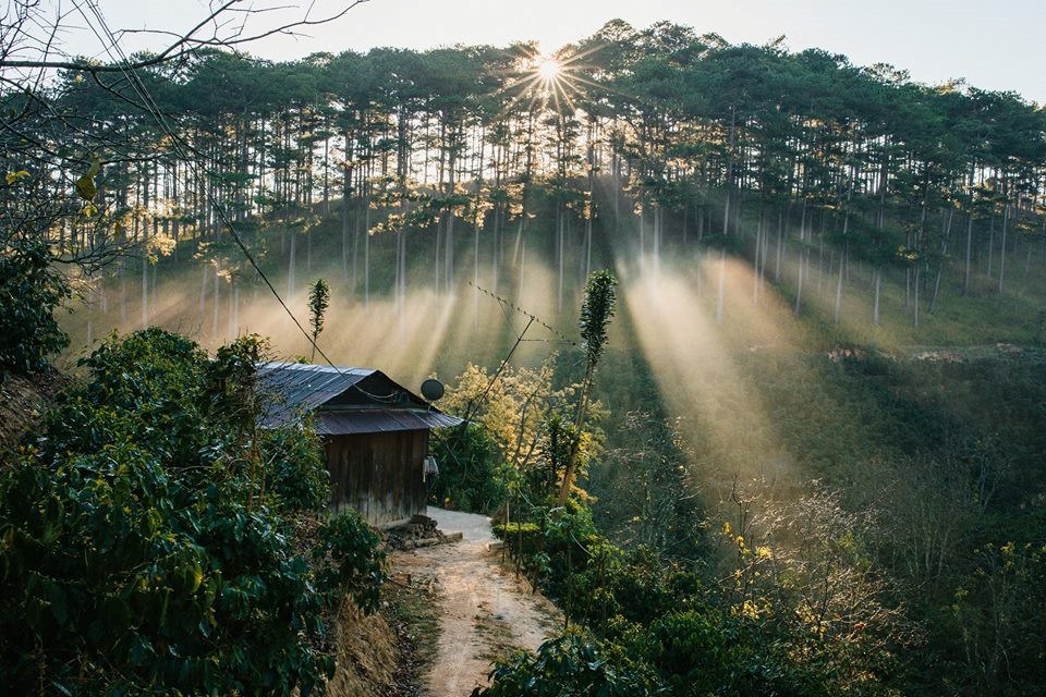 DaLat - ベトナムの南部の寒冷地とするダラット旅行 がおすすめ！0